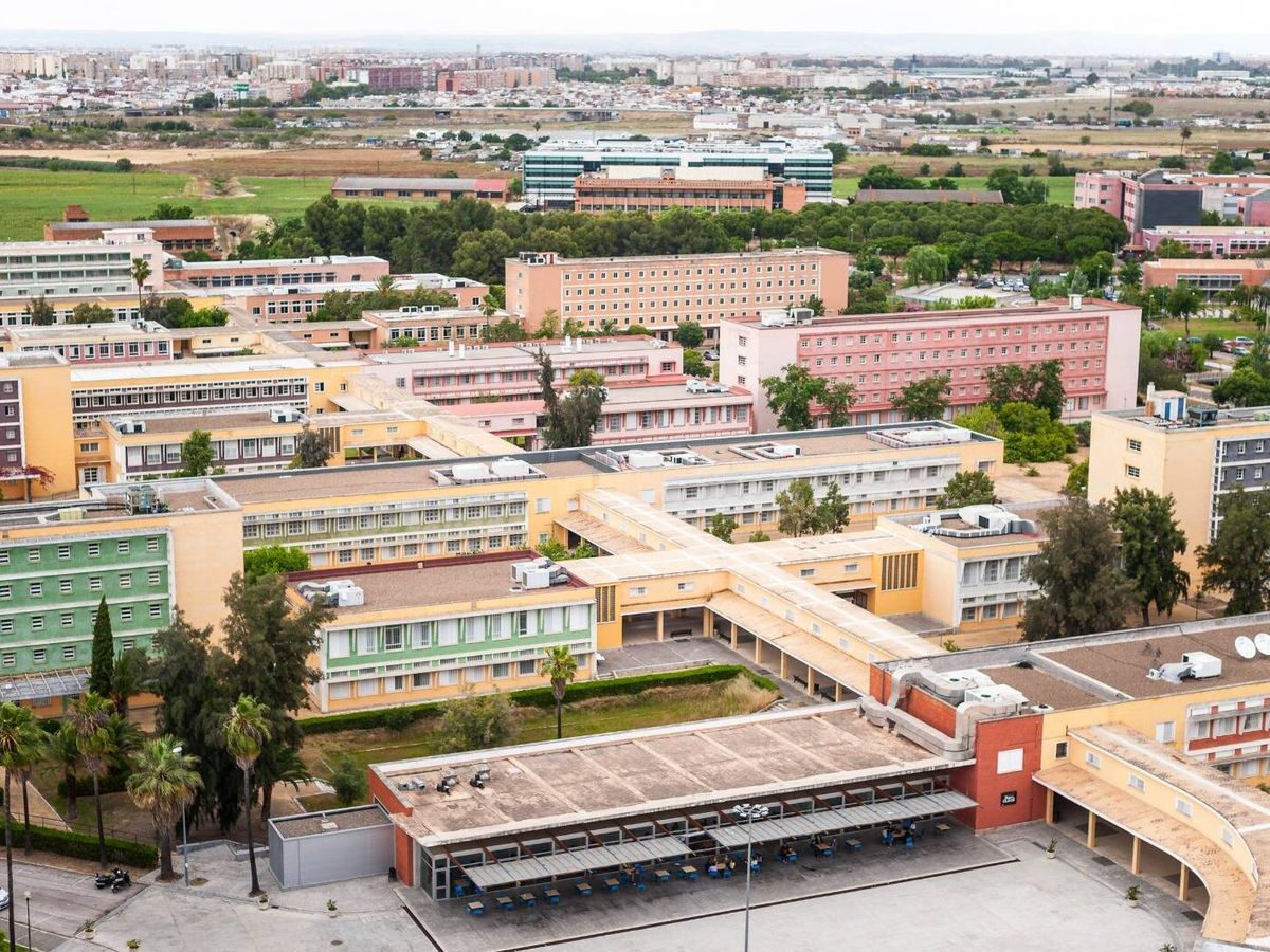 universidades en sevilla